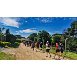 A 8ª Caminhada na Natureza Colônia D. Pedro  contou com mais de 800 pessoas